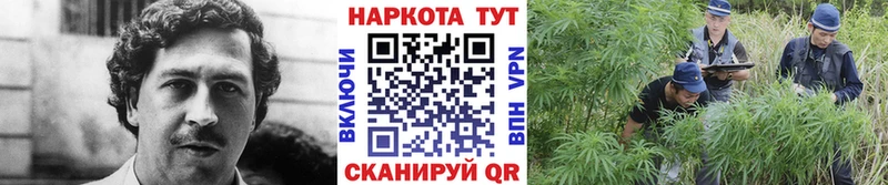 Наркотические вещества Каменск-Уральский МАРИХУАНА  A-PVP  ЭКСТАЗИ  АМФЕТАМИН  MDMA  Мефедрон  Cocaine  ГАШИШ 