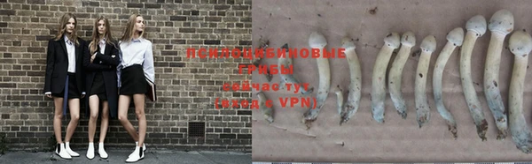 apvp Корсаков