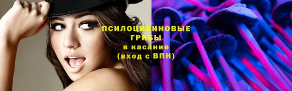 герыч Алексин