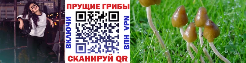 Галлюциногенные грибы прущие грибы  Каменск-Уральский 